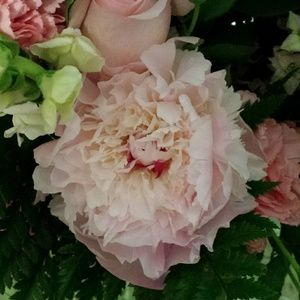 Meet your Posher, Margaret